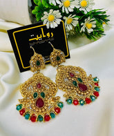 Fancy Earring-427 (Multi)